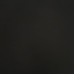 Meet your Posher, Karis